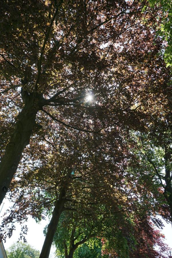 Perfectly Located Private Room Oaks And Beeches ซาสเซนไฮม์ ภายนอก รูปภาพ